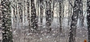 reshaping reality