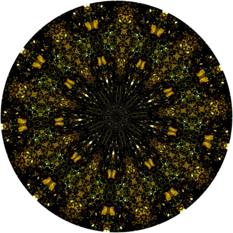 Kaleidoscope by Rosangela Taylor